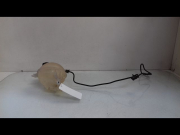 VASE EXPANSION