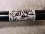 TRANSMISSION AVD