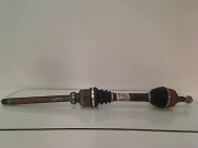 TRANSMISSION AVD