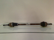 TRANSMISSION AVD