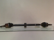 TRANSMISSION AVD