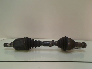 TRANSMISSION AVG