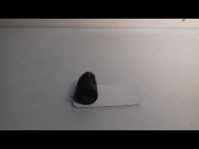 BOUTON DE DEMARRAGE START/STOP