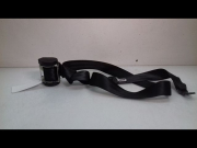 CEINTURE ARD