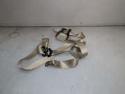 CEINTURE ARD