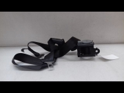CEINTURE ARD