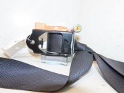 CEINTURE ARD