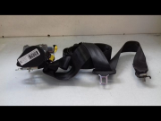 CEINTURE AVD