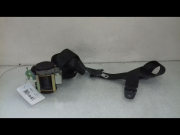 CEINTURE AVD