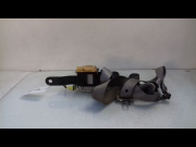 CEINTURE AVD