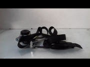 CEINTURE AVD