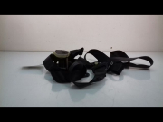 CEINTURE AVD