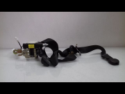 CEINTURE AVD