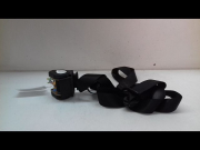 CEINTURE AVD