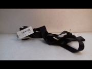 CEINTURE AVD