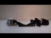 CEINTURE AVD