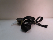 CEINTURE AVD