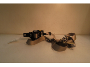 CEINTURE AVD