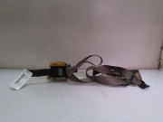 CEINTURE AVD