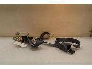 CEINTURE AVD