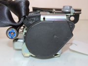 CEINTURE AVD