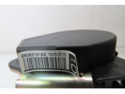 CEINTURE AVD