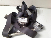 CEINTURE AVD
