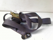 CEINTURE AVD