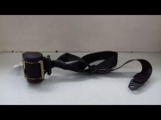 CEINTURE AVD