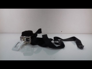 CEINTURE ARG
