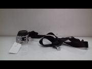 CEINTURE ARG