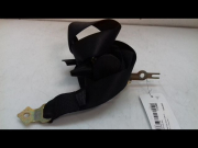 CEINTURE ARG