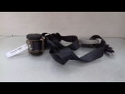 CEINTURE ARC