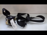 CEINTURE AVG