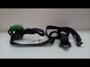 CEINTURE AVG