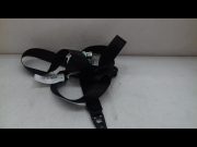 CEINTURE AVG