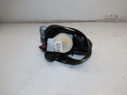 CEINTURE AVG