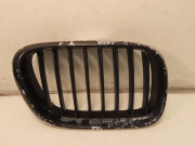 GRILLE CALANDRE D