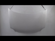 CAPOT
