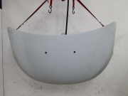 CAPOT