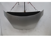 CAPOT