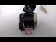 CEINTURE ARD
