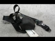 CEINTURE ARD