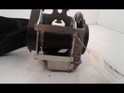 CEINTURE AVD