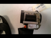 CEINTURE AVD