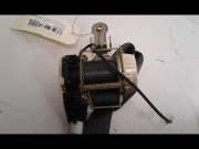 CEINTURE AVD