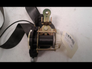CEINTURE AVD