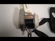 CEINTURE AVD