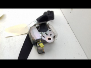 CEINTURE AVD