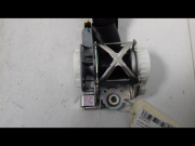CEINTURE AVD